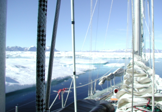 Année 2001